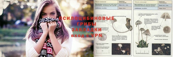 кокаин Алексеевка