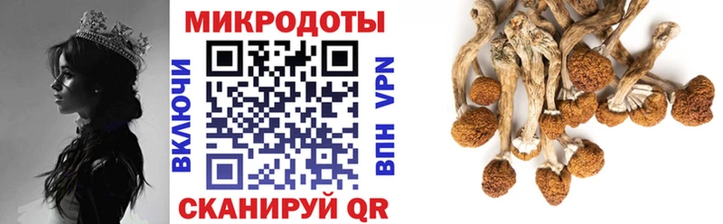 Псилоцибиновые грибы мухоморы цена Чаплыгин